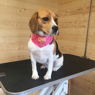 The Dog Shed Grooming Services