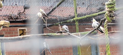 West Park Aviaries