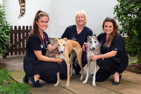 Summercourt Veterinary Surgery