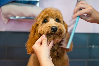 The Hound Ville Brighouse - Luxury Dog Grooming Spa