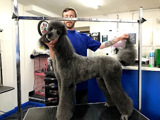 A1K9 Dog Grooming