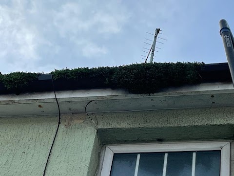 Shark - gutter and window cleaning - Hove