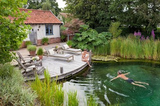 The Swimming Pond Company