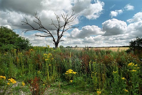 Stanwick Lakes