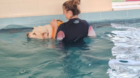 Well Dogs Canine Hydrotherapy pool