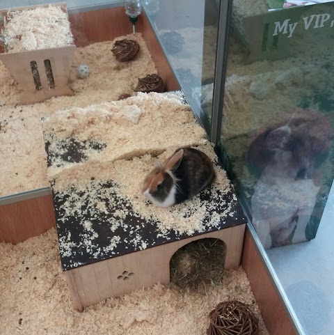 Pets at Home Huddersfield Waterloo