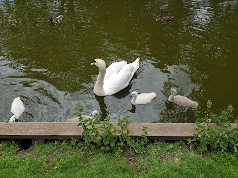 Langtons Gardens