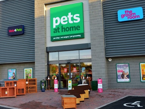 Pets at Home Rugby