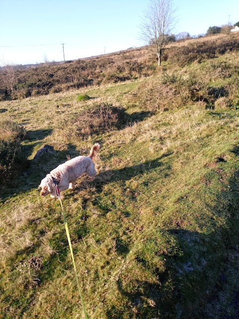 Hillside Dog Hotel