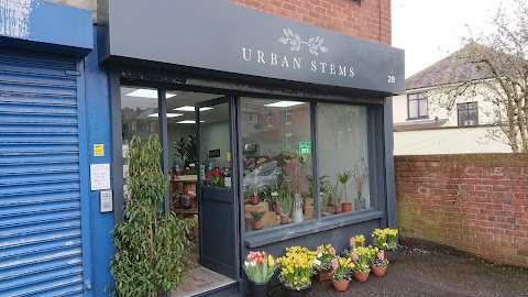 Urban Stems - Belfast