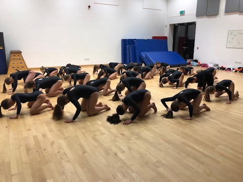 Synergy Dance Training Academy