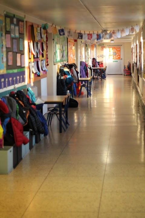 International School of Dublin