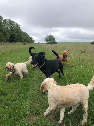 Happy Tails of East Lothian