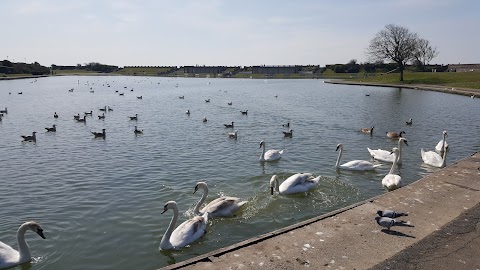 Knap Gardens