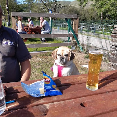 Noddfa Boarding Kennels