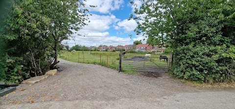 Dane Bank Green Space