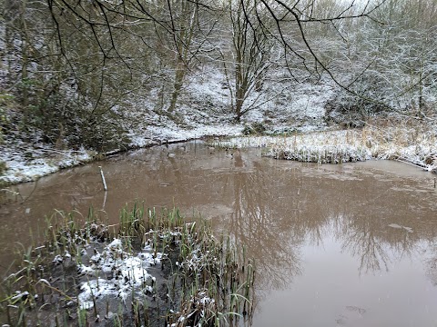 Hartshill Park