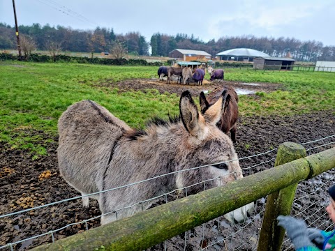 Matlock Farm Park