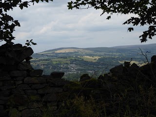 Mount View Farm Kennels and Cattery