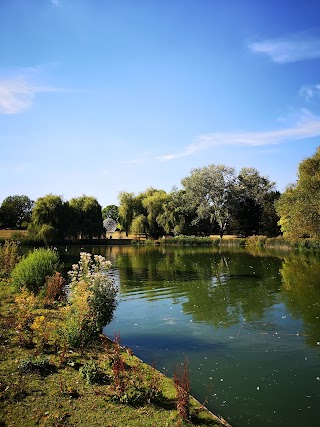 University of Surrey Lake