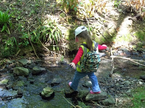 Oak Tree Day Nursery