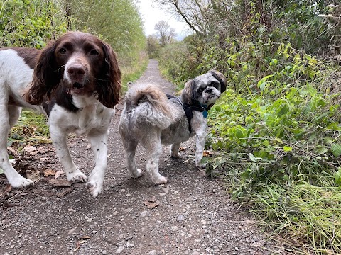 Wagnificent Walkies