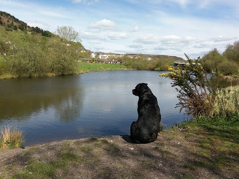 Clydach Vale Country Park