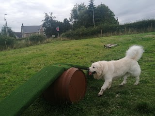 Let's walk enclosed dog field