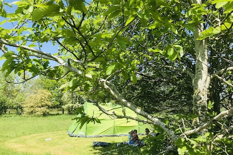 The Little Wild Wellie Campsite