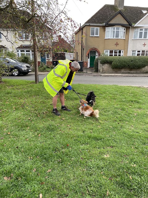 Dog Walking Bedford - Lewie's Rainbow