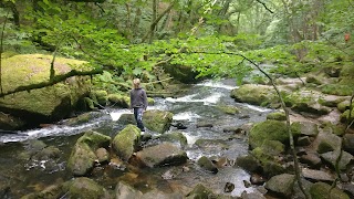 Golitha Falls