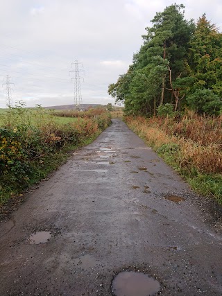 Ardoch Kennels