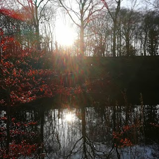 Farnley Hall Fish Pond