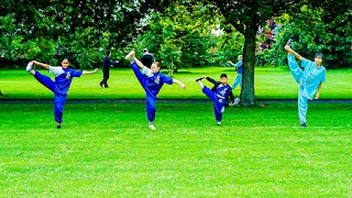 Shaolin Kung Fu Academy Ireland