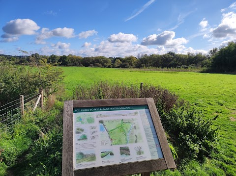 Wellesley Water Meadow