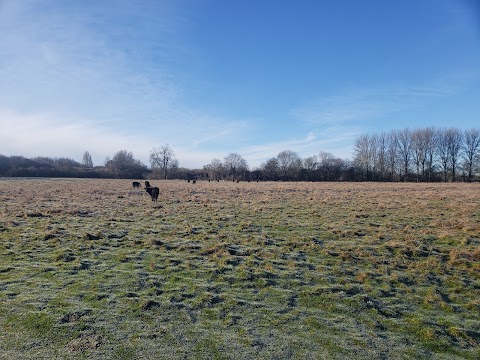 Radwell Meadows Country Park