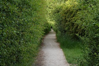 St Chad's Nature Reserve