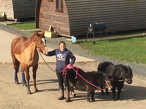 Hilly Cow Wigwams