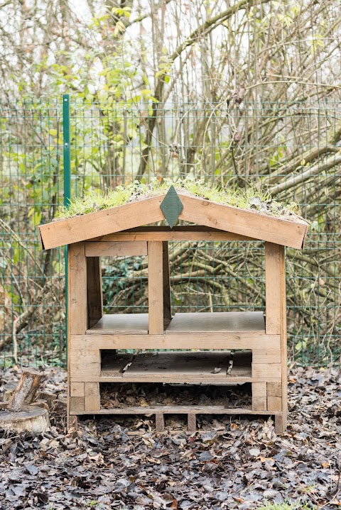 Astley Nature Kindergarten