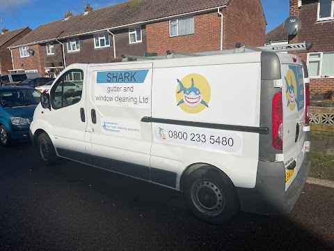 Shark - gutter and window cleaning - Hove