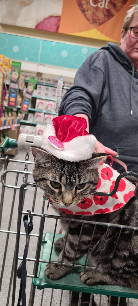 Pets at Home Derby