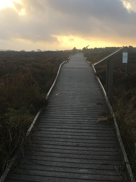 Langlands Moss Local Nature Reserve