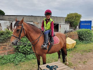 South Pasture Stables