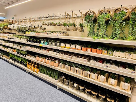 B&M Home Store with Garden Centre