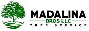 Madalina Bros Tree Service