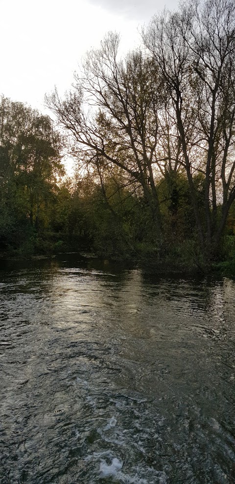 The Hurst Water Meadow Trust