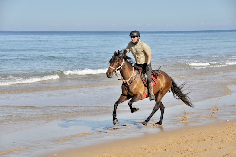 In The Saddle | Holidays on Horseback