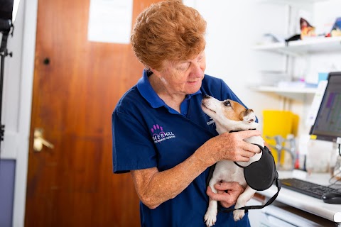 Summercourt Veterinary Surgery