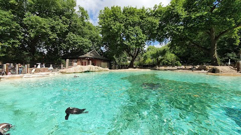 London Zoo Penguin Pool