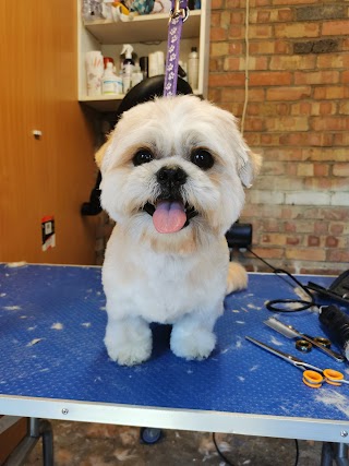 Mucky Pups Groomers